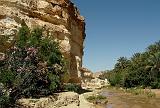 TAMERZA 6